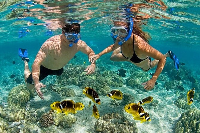 Private Speed Boat Experience with Snorkeling in Punta Cana - Bávaro Natural Pool: Clear Water, Busy Boats, and the Fun Part