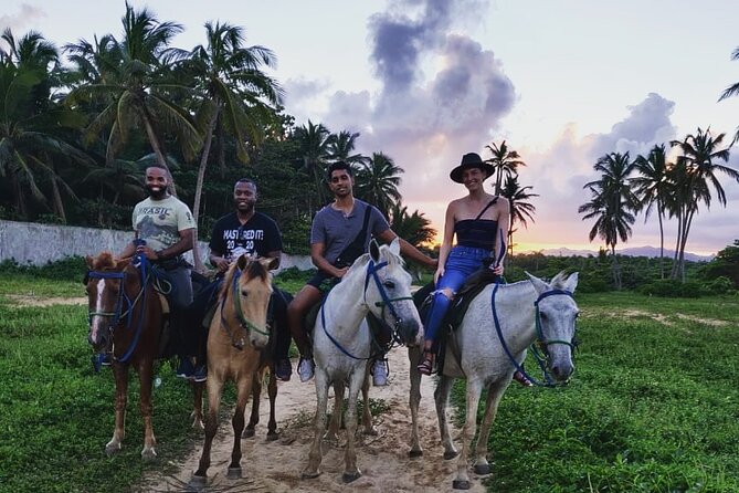 Private Sunset Horseback Riding in punta cana beach - From pickup to the ranch: what the first hour feels like