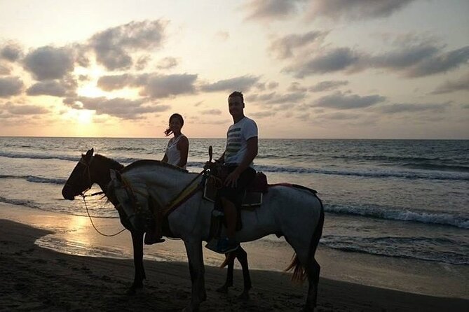 Private Sunset Horseback Riding in punta cana beach - Sunset expectations: how much beach time you should really plan for