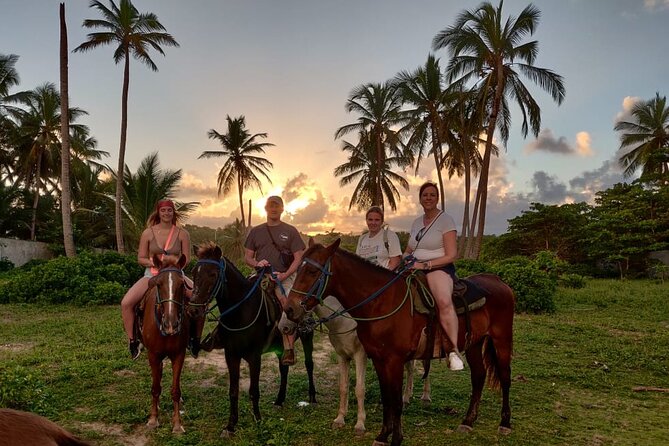Private Sunset Horseback Riding in punta cana beach - Pickup experience: communication can make or break the start