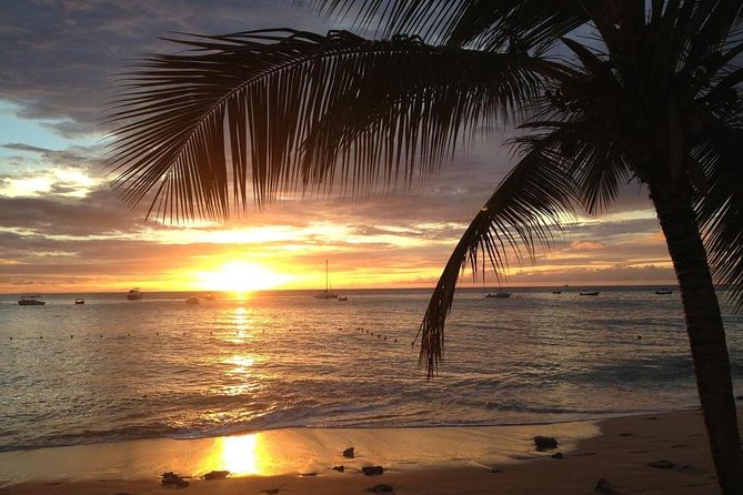 Private Sunset Horseback Riding in punta cana beach - The 2-hour trail: beach views, countryside turns, and real terrain