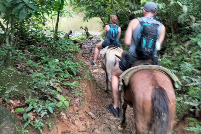 Private Tour in Miches with La Jarda Waterfall Experience - Miches, La Jarda, and the smart reason to start at 6:30 am