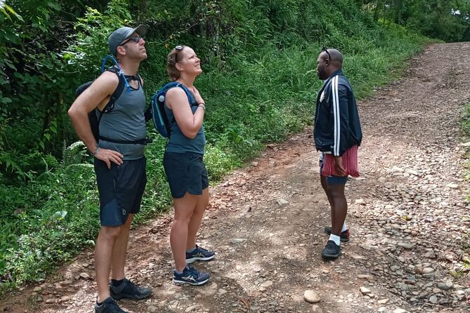 Private Tour in Miches with La Jarda Waterfall Experience - Playa Esmeralda: the calm beach stop you need after the hike