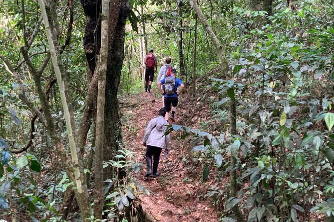 Private Tour in Miches with La Jarda Waterfall Experience - Price and value: what $180 per person really buys you