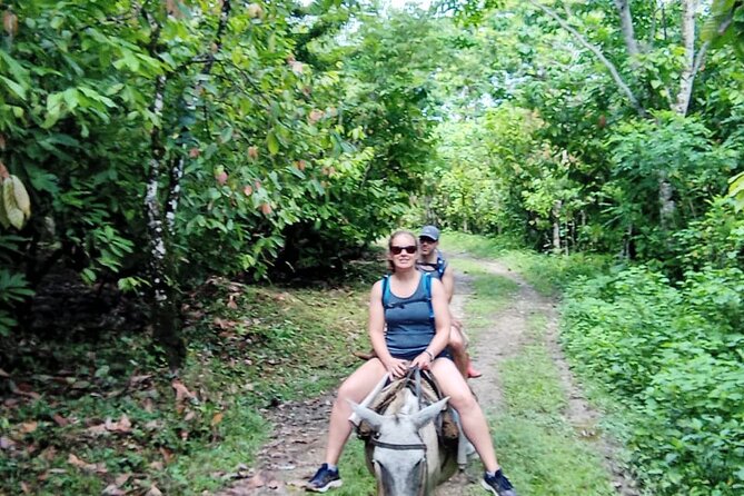 Private Tour in Miches with La Jarda Waterfall Experience - Coffee and cacao forest paths that actually change the pace