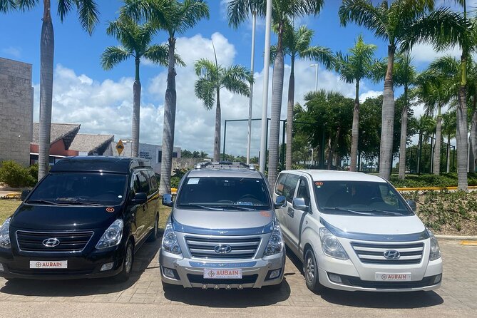 Private Transfer Between Punta Cana and Bavaro - Meeting Your Driver: Exactly Where to Look
