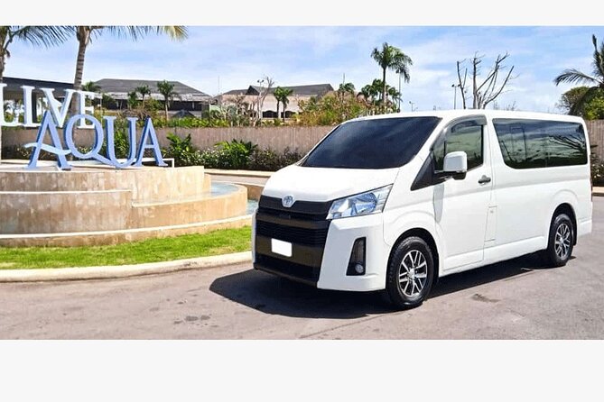 Private Transfer from Hotels to Punta Cana Airport - Safety and professionalism: what the feedback emphasizes