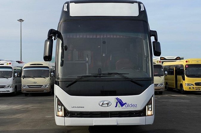 Private Transfer From or to Punta Cana Airport to hotels in Bávaro - Private Group Transfers in Practice: Up to 5 People, One Plan