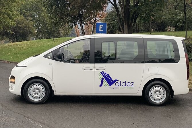 Private Transfer From or to Punta Cana Airport to hotels in Bávaro - Baby Seats, Service Animals, and What’s Included