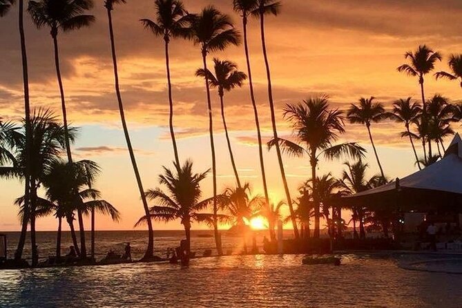 Private Transfer From Punta Cana Airport to Cap Cana, Cabeza de Toro and Bavaro - Cap Cana, Cabeza de Toro, or Bavaro: choosing the right drop-off