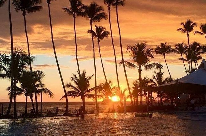 Private Transfer From Punta Cana Airport to Cap Cana, Cabeza de Toro and Bavaro - Round-trip private transfer: one plan for arrival and departure