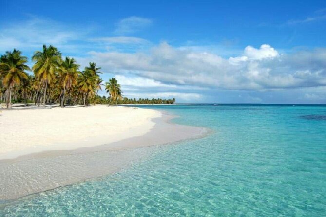 Private Transfer From Punta Cana Airport to Cap Cana, Cabeza de Toro and Bavaro - Price and value: how $60 per group can work for you