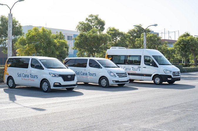 Private Transfer from Punta Cana Airport to Dreams Macao Beach Hotel - Flight Delays and Communication: How to Keep Control