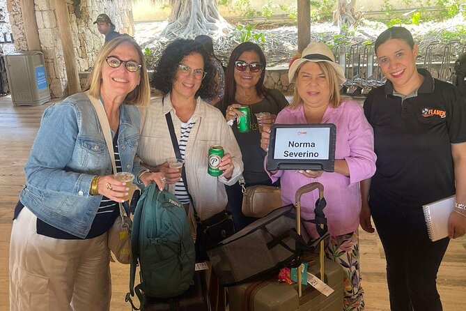 Private Transfer from Punta Cana Airport to Your Hotel - Roundtrip vs One-Way: Choosing the Right Fit for Your Schedule
