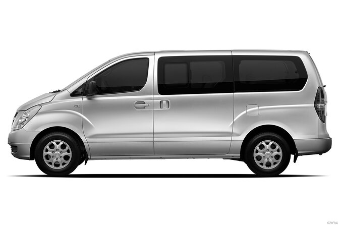 Private Transfer in Punta Cana from Airport and Hotels - Should you book this private transfer?