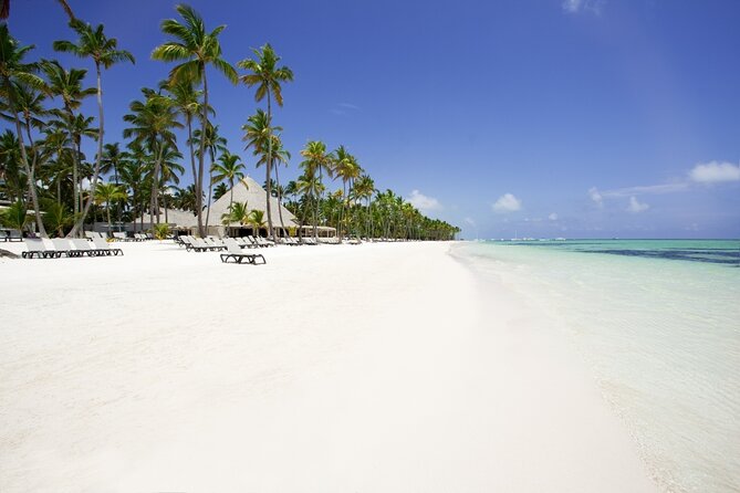 Private Transfer Punta Cana Airport to/from Barcelo Bavaro Beach - The Simple Logic: PUJ to Barcelo Bavaro Beach, Then Done
