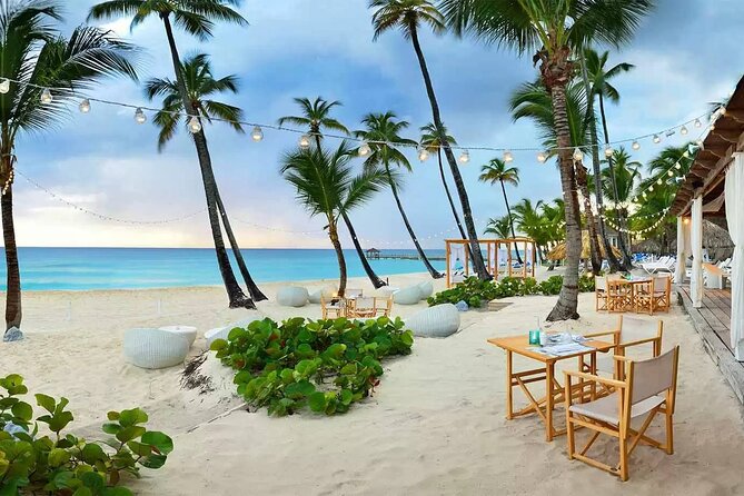 Private Transfer Punta Cana Airport to/from Catalonia Royal La Romana - Getting Help with Language: Translator App Support That Actually Works