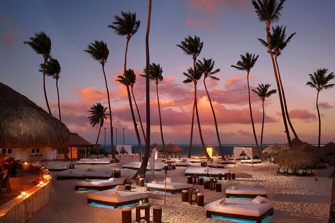 Private Transfer Punta Cana Airport to/from Paradisus Palma Real - Airport Pickup at PUJ: What to Do When You Land