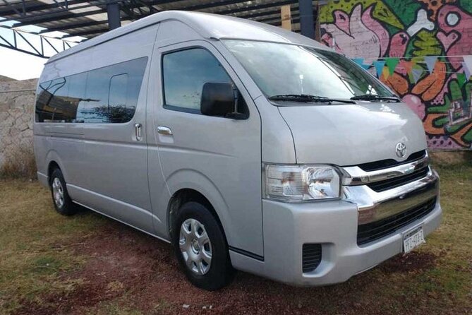 Private Transfers in PUNTA CANA AIRPORT - The Airport to Hotel Flow: What Happens in Each Phase