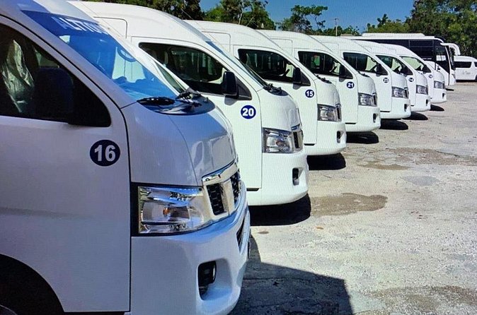 Private Transfers in PUNTA CANA AIRPORT - Practical Tips That Prevent the Common Headaches