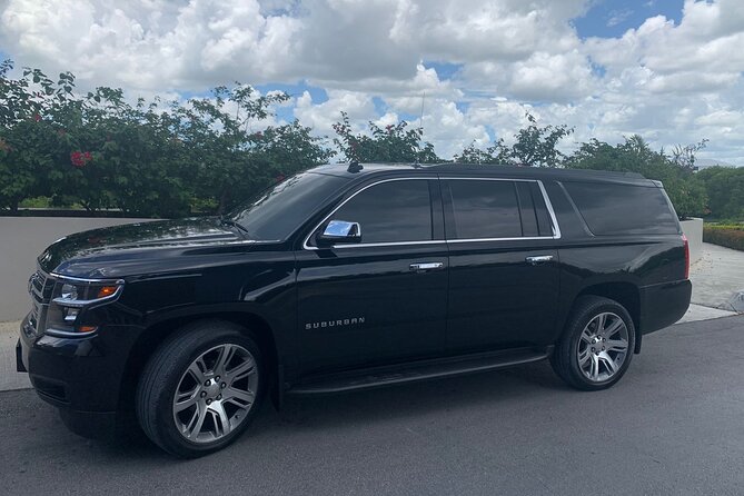 Private Transfers Punta Cana Airport & Hotels in Uvero Alto - Key Things to Know Before You Go