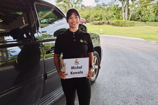 Private Transfers Puntacana Airport to Romana, Bayahibe Round Trip - Price and Value: Is $89 Per Group Fair?