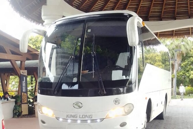 private transport - Mobile Ticket and What You Should Do With It