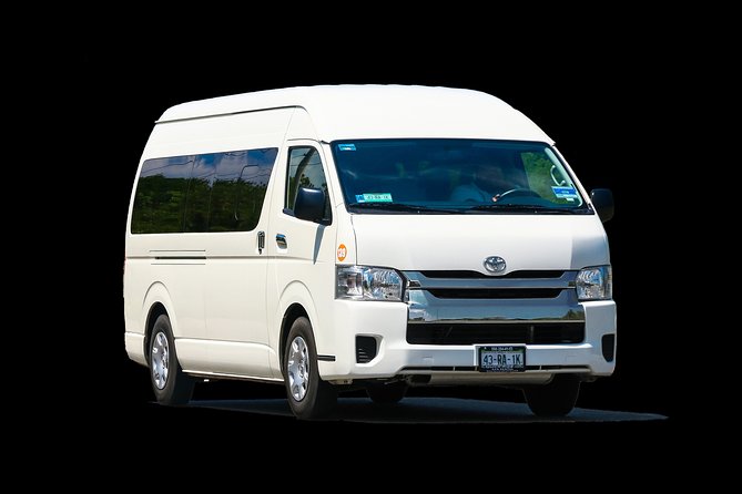 Private Transportation From To Airpot and Punta Cana Hotels (1-6) - Punta Cana arrivals pickup, with a real-world meet point