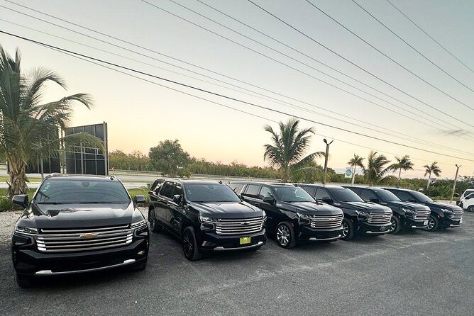 Private VIP Shuttle Service in Punta Cana - Private VIP Transfer in Punta Cana: What You Really Get