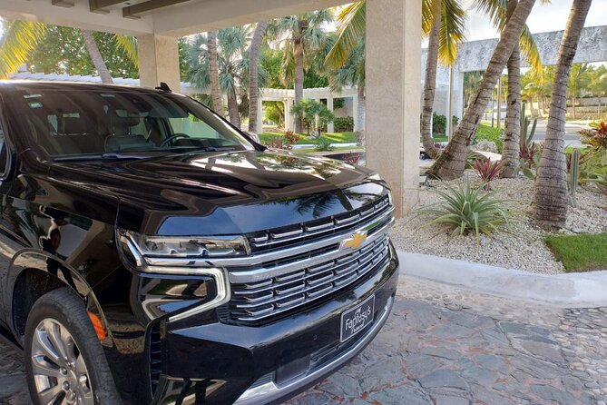 Private VIP Shuttle Service in Punta Cana - The Airport Meet-Up: Sign, Name, and Reservation Verification