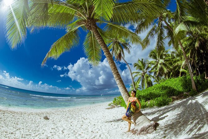 PRIVATE VIP tour Saona Island with Snorkeling, Starfish, Turtles - Key Highlights That Make This Tour Worth a Closer Look