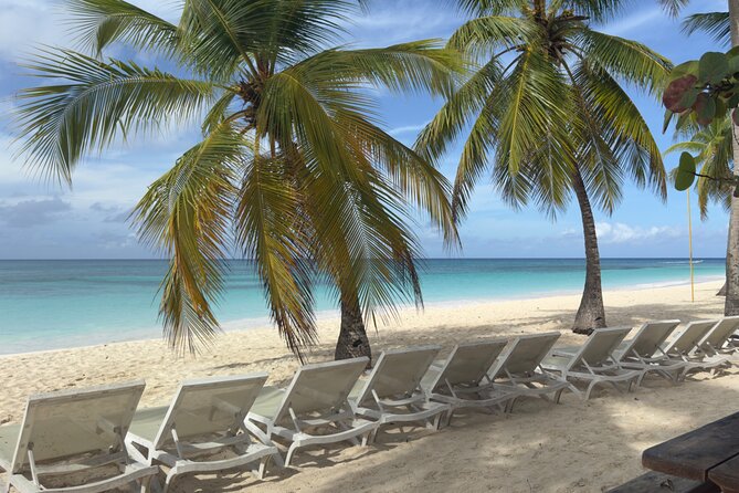 PRIVATE VIP tour Saona Island with Snorkeling, Starfish, Turtles - Cotubanamá National Park: The Guaranteed Starfish Pool Swim