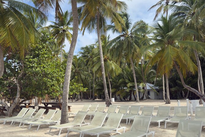 PRIVATE VIP tour Saona Island with Snorkeling, Starfish, Turtles - Service and Staff: When the Guide Energy Actually Shows