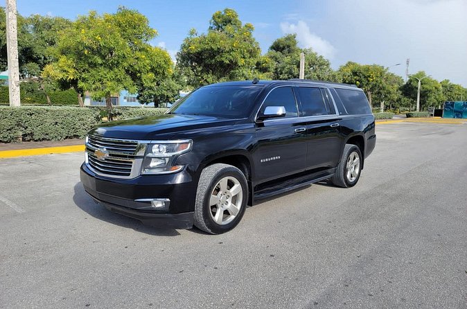 Private VIP Transfer From and To Punta Cana Airport - Practical Tips to Make the Pickup Go Smoothly