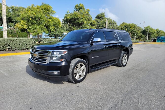 Private VIP Transfer From and To Punta Cana Airport - Should You Book This Private VIP Transfer?