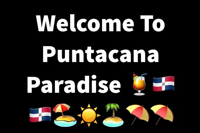 Private & VIP Transfers Puntacana airport/ hotels-luxury services - The VIP ride setup: clean car, comfort, and real small perks