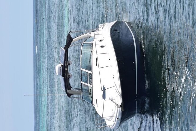 Private VIP Yacht in Punta Cana - Playa Bibijagua dolphin watching: what to expect from the stop