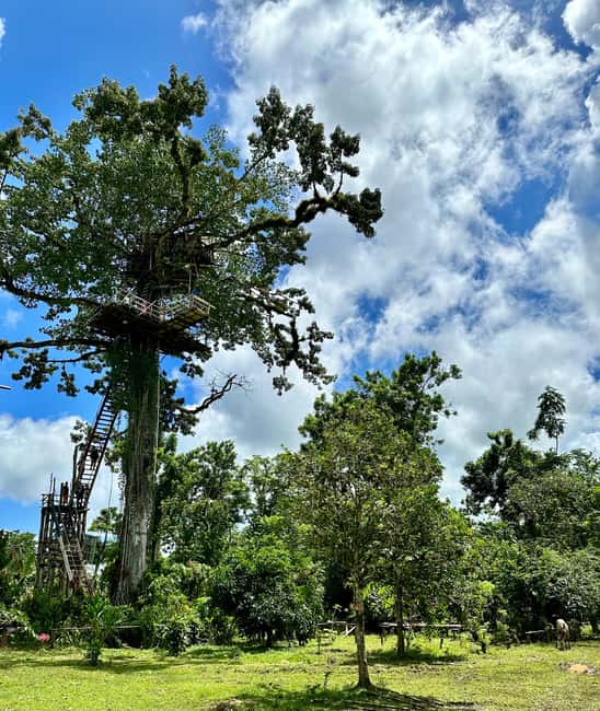 Punta Cana: 3-in-1 Adventure Haitises Park Waterfall Montaña - Guides, timing, and why the storytelling is often the real highlight