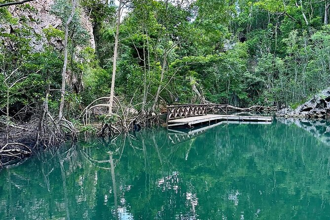 Punta Cana 3in1 Adventure: Los Haitises Park, Waterfall & Montaña - The big idea: Punta Cana’s 3-in-1 nature day (without chasing your own schedule)