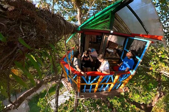 Punta Cana 3in1 Adventure: Los Haitises Park, Waterfall & Montaña - Los Haitises National Park: mangroves by boat, caves with Taino pictograms
