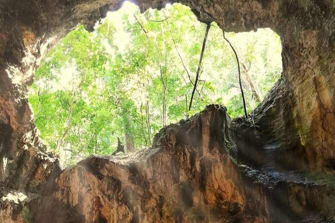 Punta Cana 3in1 Adventure: Los Haitises Park, Waterfall & Montaña - The road trip reality: early pickup, long drives, and why the day can run long