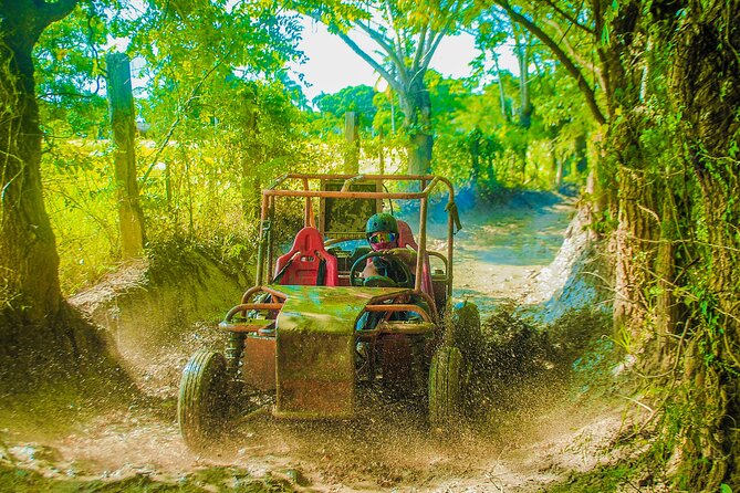 Punta Cana 4 Hours Buggy Tour Cave Macao Beach Free Pick Up - Key highlights you should care about