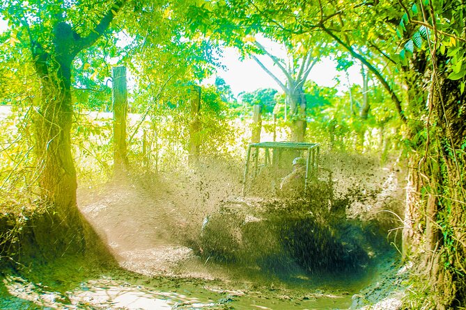Punta Cana 4 Hours Buggy Tour Cave Macao Beach Free Pick Up - Cueva Taína cenote swim: how the cave visit works