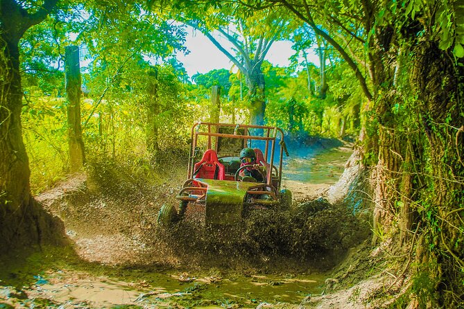 Punta Cana 4 Hours Buggy Tour Cave Macao Beach Free Pick Up - Who should book this Macao buggy and cenote combo