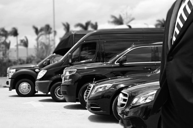 Punta Cana Airport Pick Up - Hotel Transportation Service - Quick Key Points Before You Book