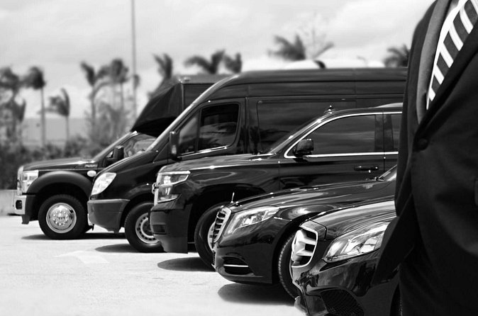 Punta Cana Airport Pick Up - Hotel Transportation Service - Entering Your Hotel Zone: Bavaro, Punta Cana, and Cabeza de Toro