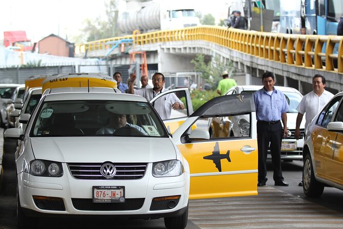 Punta Cana Airport Pick Up - Hotel Transportation Service - What Happens Right After You Land