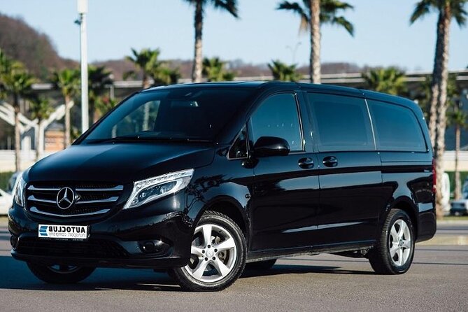 Punta Cana: Airport (PUJ) Shuttle To Hotel Round Trip - Luggage help: the difference between stress and smooth