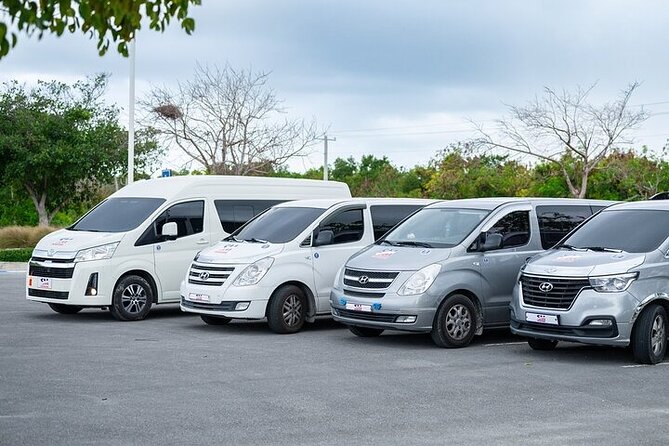 Punta Cana: Airport (PUJ) Shuttle To Hotel Round Trip - Drivers you will hear about: what their reviews reveal