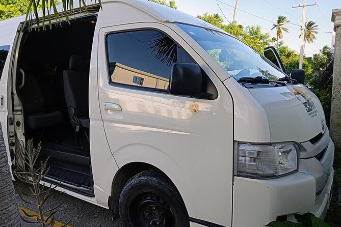 Punta Cana: Airport (PUJ) Shuttle To Hotel Round Trip - Flight tracking: why it can save your whole day